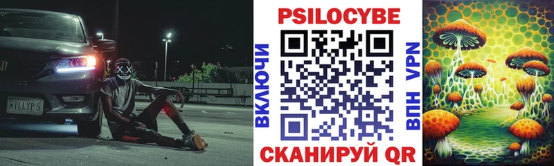 купить   Серафимович  Псилоцибиновые грибы GOLDEN TEACHER 